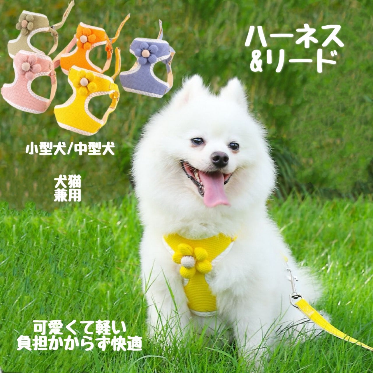 犬猫兼用シリーズ